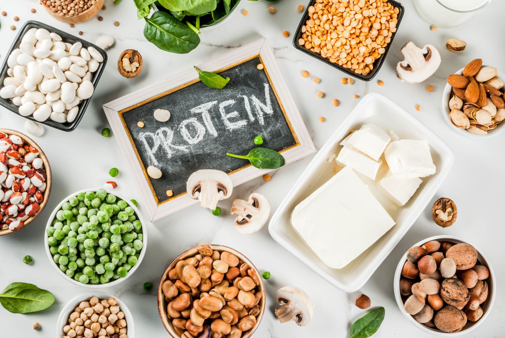 All about plant proteins All about plant proteins